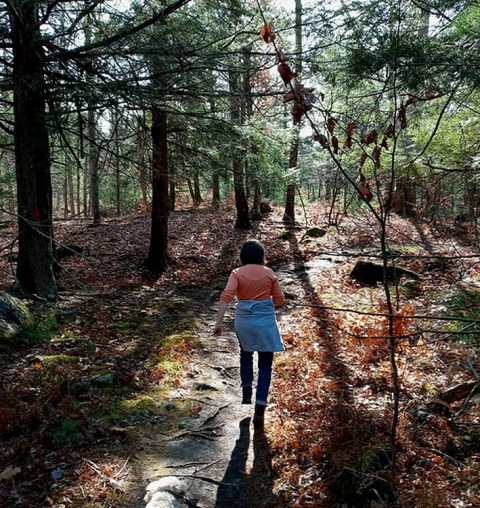 Admission-Free, The Libby Hill Forest In Maine Is The Perfect Day Trip Destination