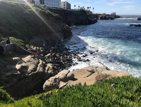 Explore Marine Life And Sandstones At The La Jolla Tide Pools In Southern California During Low Tide