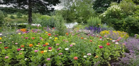 The Butterfly Garden In Maine That’s The Perfect Family Destination