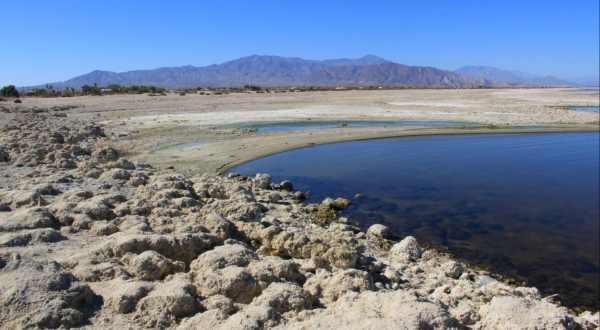 This Bizarre Desert Lake In Southern California Has An Entire Beach Made of Fish Bones
