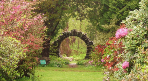 Kinney Azalea Gardens Is The Dreamiest Spring Destination In Rhode Island