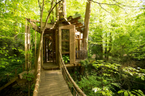 This Cozy Treehouse Is The Most Bookmarked Airbnb In Georgia And It's So Easy To See Why