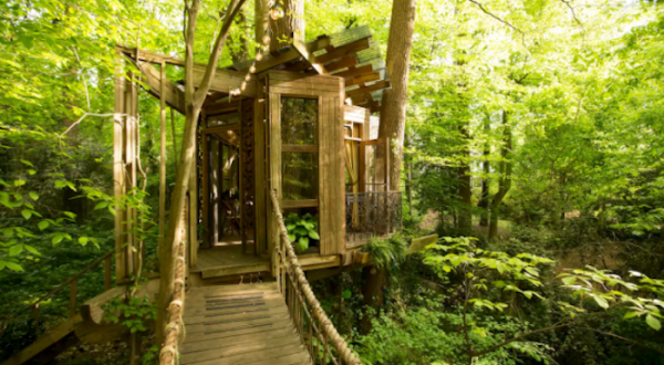 This Cozy Treehouse Is The Most Bookmarked Airbnb In Georgia And It’s So Easy To See Why
