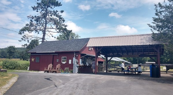 You’ll Have Loads Of Fun At This Dairy Farm In New Hampshire With Incredible Ice Cream