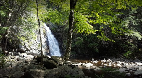 Poplar Hut Is A Magical Waterfall Camping Experience In Maine