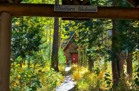 Seek Out This Historic Church Hiding In The Forest For A Magical Outing In Northern California