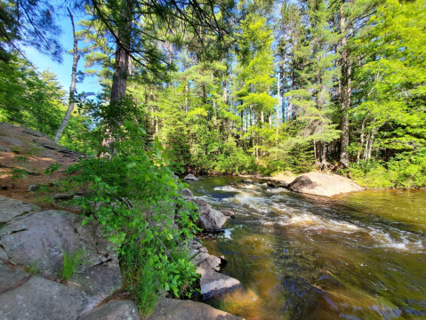 Camp Along A River In The Woods At Farquar-Metsa Tourist Park In Michigan's Upper Peninsula