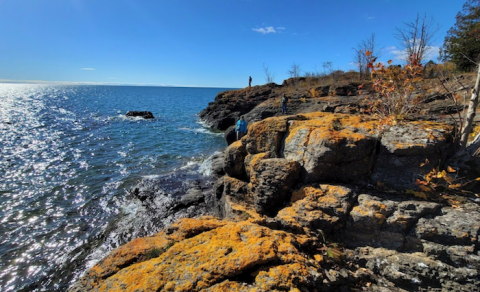 Marvel At Vivid Orange Lichen-Draped Rocks At Butterwort Cliffs SNA, A Minnesota Nature Area That Few People Know About