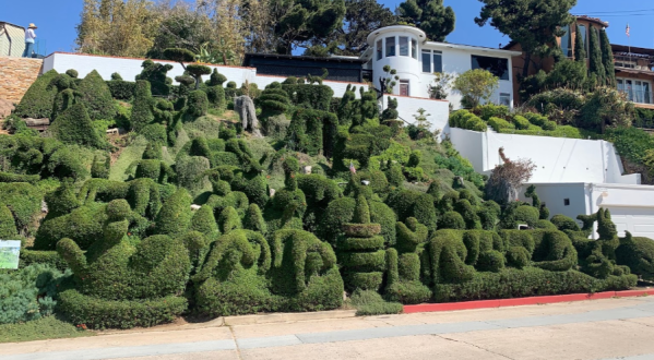 Harper’s Topiary Garden In Southern California Just Might Be The Strangest Tourist Trap Yet