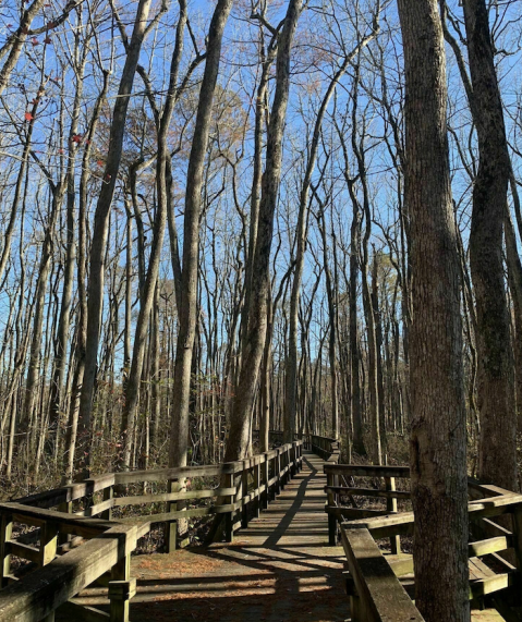 Clear Springs Nature Trail In Mississippi Leads To One Of The Most Scenic Views In The State