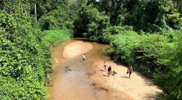 Hike Through Morningside Nature Preserve In Georgia To Find A Hidden Sandy Dog Beach