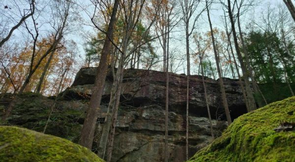 7 Incredible Natural Wonders In Indiana That You Can Witness For Free