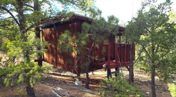 Sleep Among Towering Junipers and Pines At The Sunrise Treehouse In New Mexico