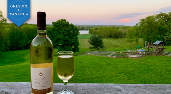 Adventure Awaits When You Embark On This Northern Ohio Winery And Waterfall Day Trip