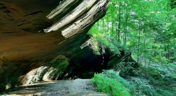 Indiana’s Incredible Tecumseh Trail Is Worth A Visit From Any Corner Of The State