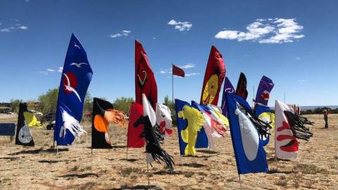 Watch Dozens Of Kites Soar In The Sky At 18th Annual Kite Festival In New Mexico