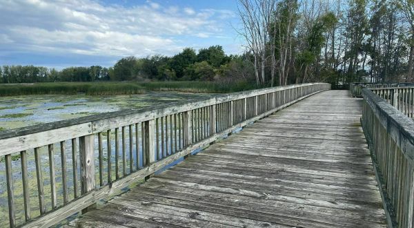The Cherry Island Marsh Trail Offers Some Of The Most Breathtaking Views Of Detroit’s Surroundings