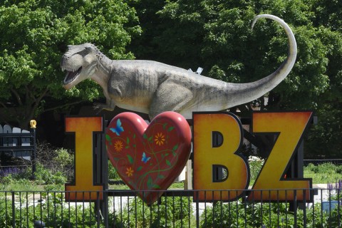 Everyone Will Have A Blast Searching For Dinos Everywhere At The Brookfield Zoo In Illinois