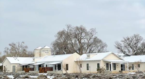 Enjoy A Delectable Field-To-Fork Meal At This Restaurant On A Lavender Farm In New Mexico