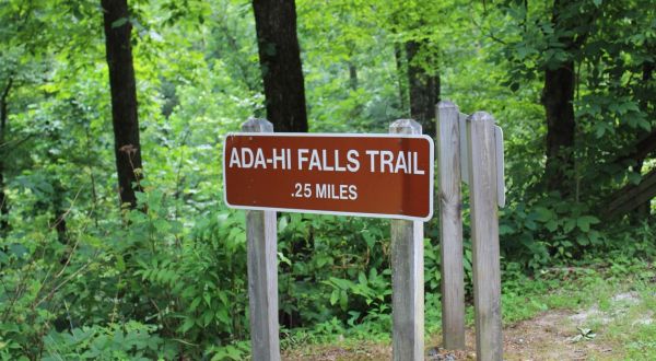 The Adi-Hi Falls Trail In Georgia Is A Quick Jaunt Through Nature With A Waterfall Ending