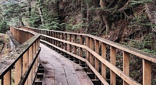 Travel Over Boardwalk Bridges When You Hike Up Into The Mountains On The Cope Park Trail In Alaska