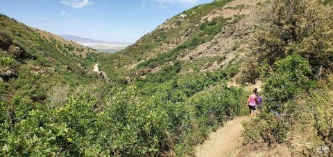 Farmington Creek Trail In Utah Is Fun For The Whole Family