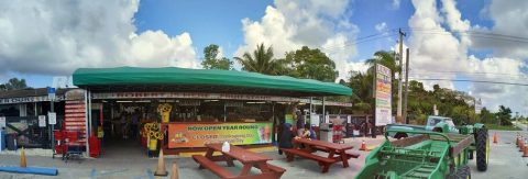 Florida's Robert Is Here Fruit Stand Serves Giant Milkshakes And Treats Galore