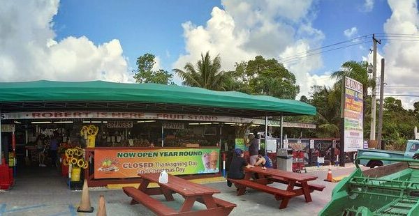 Florida’s Robert Is Here Fruit Stand Serves Giant Milkshakes And Treats Galore