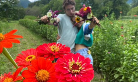 You Can Pick Your Own Flowers At Flying Cloud Farm In North Carolina
