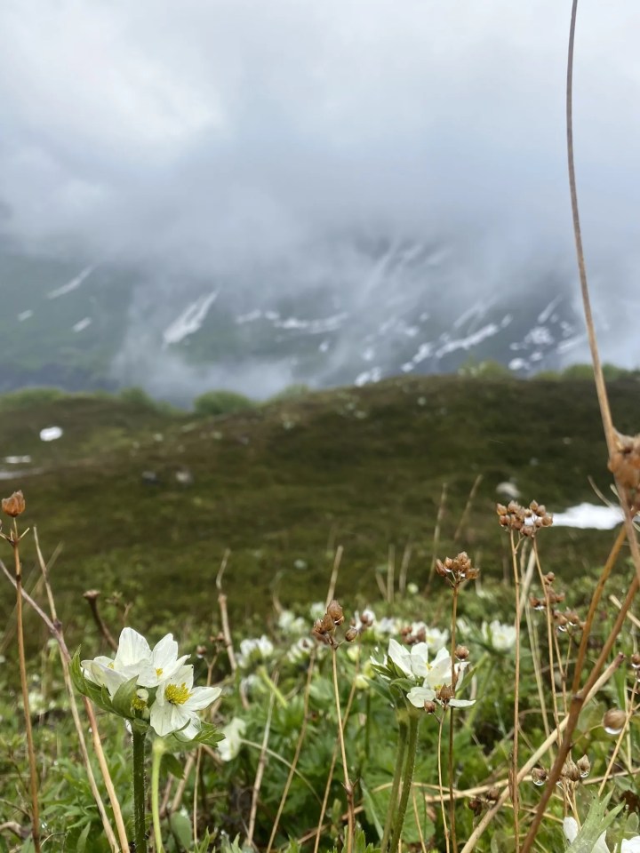 alaskan words