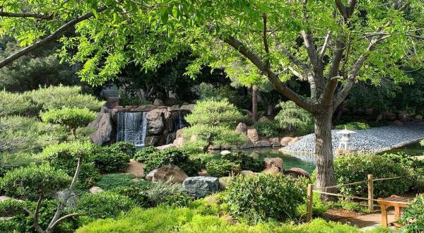 A Lush Oasis In The Arizona Desert, The Japanese Friendship Garden Of Phoenix Is A Peaceful Escape