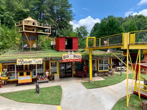 Both An Ice Cream Shop And A Goat Farm, Georgia's Goats On The Roof Is An Underrated Day Trip Destination