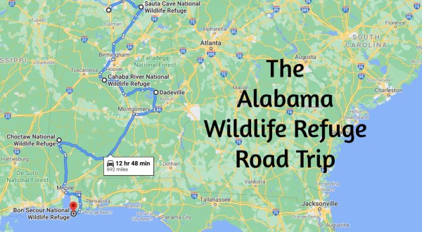 This Alabama Road Trip Lets You Experience 5 Of The State’s Most Scenic Wildlife Refuges