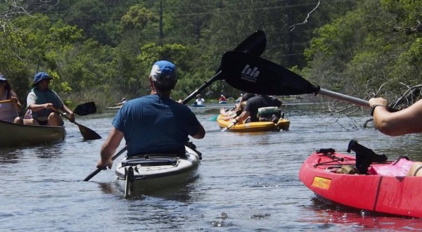 A Trip Down The Alabama Scenic River Trail Will Bring Out The Adventurer In You