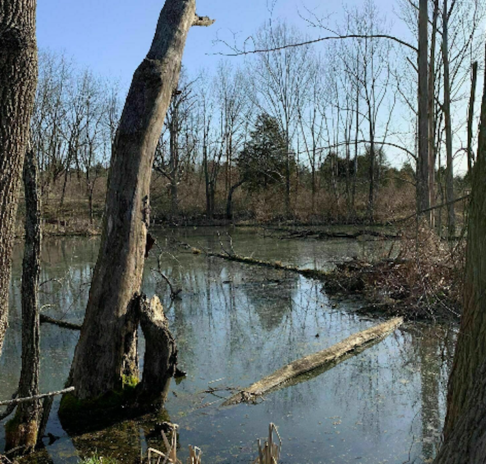 a view of the water on Kamelands Trail in Ohio