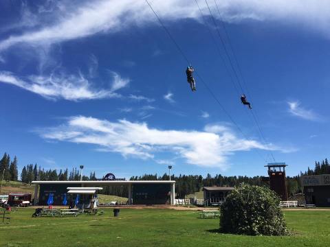 Go On A Thrilling Zipline Adventure Down The Side Of A Mountain At Sunrise Park Resort In Arizona