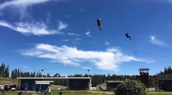 Go On A Thrilling Zipline Adventure Down The Side Of A Mountain At Sunrise Park Resort In Arizona
