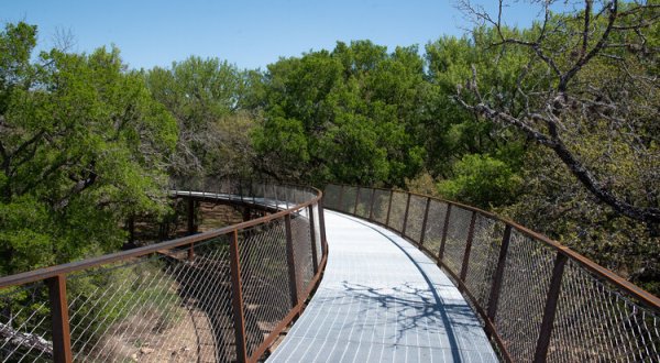 Experience The Texas Forest From A New Perspective On The Canopy Walk At Phil Hardberger Park