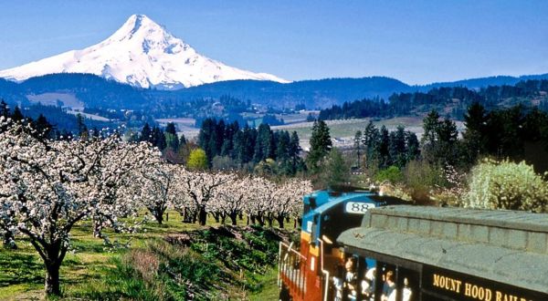 The Mount Hood Railroad Offers Some Of The Most Breathtaking Views In Oregon
