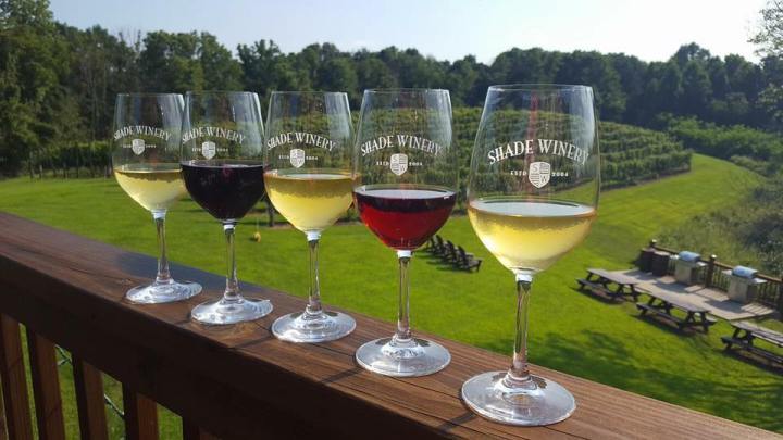 a variety of wine at Shade Winery in Ohio