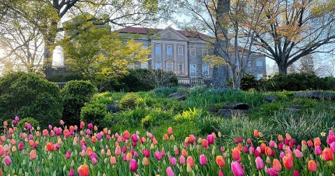 These 5 Spots Across Tennessee Are The Perfect Places To See Blooming Flowers This Spring