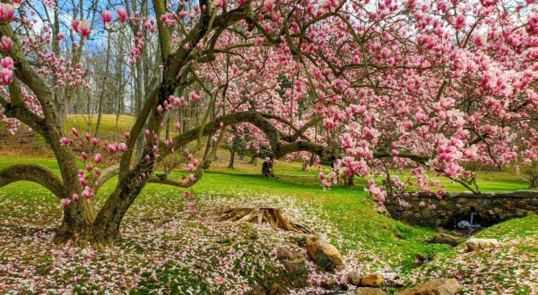 Valley Garden Park In Delaware Is The Prettiest Place You’ve Never Noticed