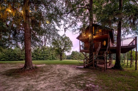 Book An Overnight Stay At This Secluded Treehouse Airbnb In Alabama