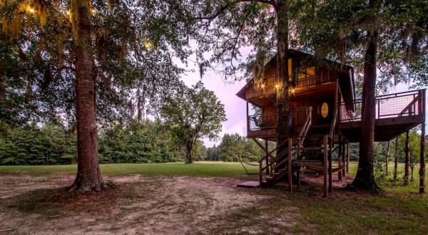 Book An Overnight Stay At This Secluded Treehouse Airbnb In Alabama