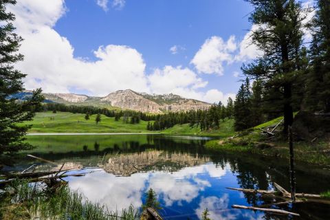 The Hike To Wyoming's Pretty Little Trout Lake Is Short And Sweet