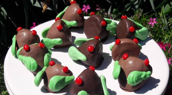 Eat Cicadas Without Actually Eating Cicadas At This Sweet Chocolate Shop In Maryland