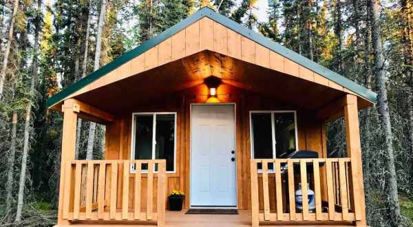 Have The Quintessential Alaskan Experience In This Cozy Dry Cabin In The Woods