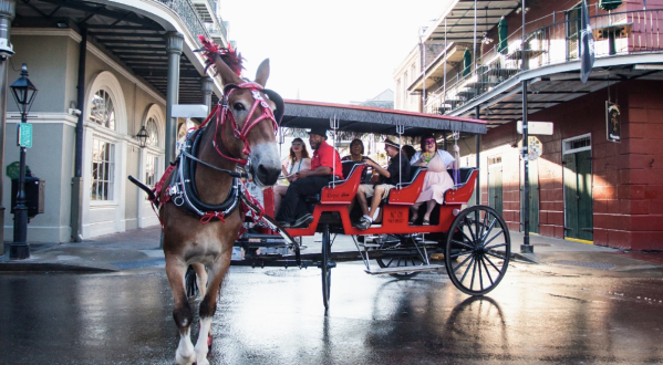 Take A Carriage Ride Through The French Quarter For A Truly Unique Louisiana Experience