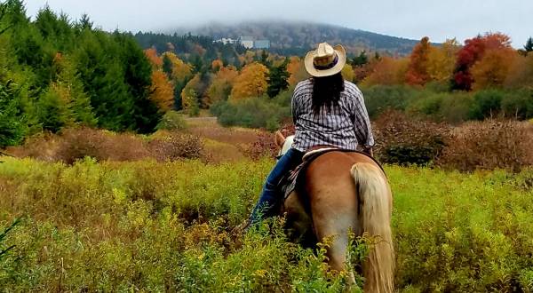 Take An Epic Tour Of Snowshoe Mountain On Horseback With Autumn Breeze Stables In West Virginia
