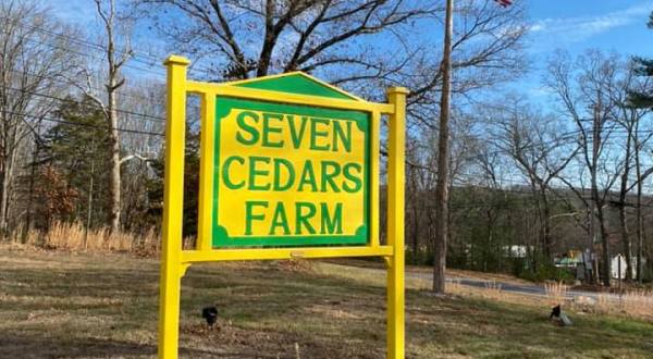Rhode Island’s Annual Spring Festival Is Returning To Seven Cedars Farm